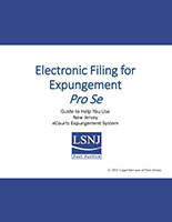 Electronic Filing for Expungement Pro Se
