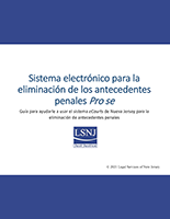 Sistema electrónico para la eliminación de los antecedentes penales Pro se